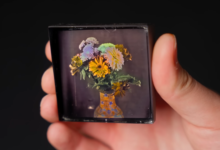 True-Spectrum Photography With Structural Color