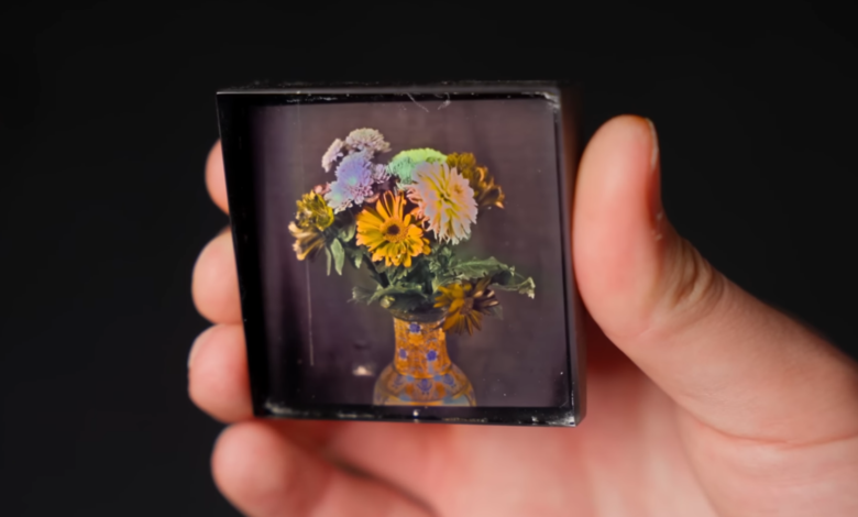 True-Spectrum Photography With Structural Color
