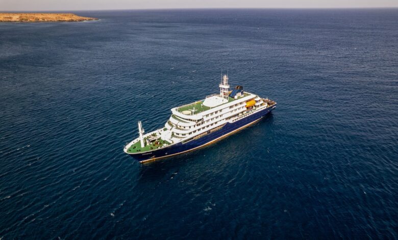 What you need to know about hantavirus, the infection at the center of a deadly cruise ship outbreak