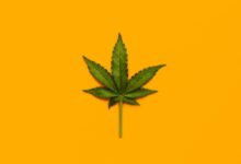 What we know—and what we don’t—about marijuana’s health effects