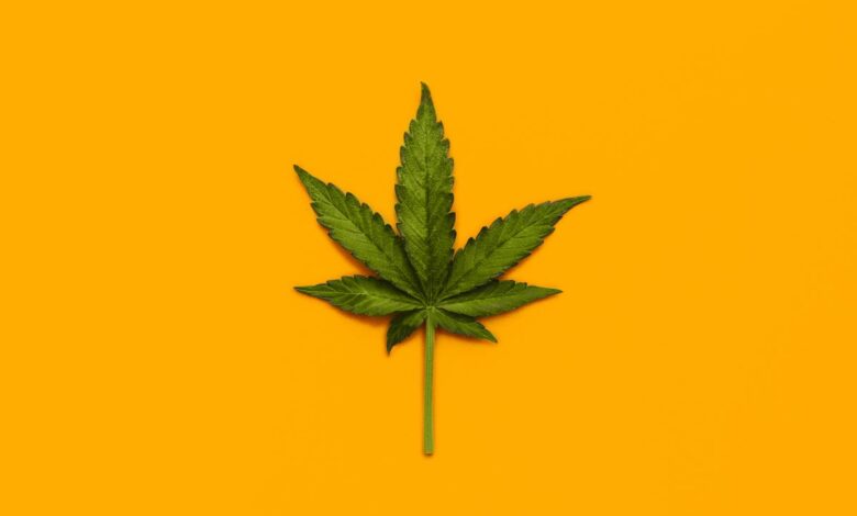 What we know—and what we don’t—about marijuana’s health effects