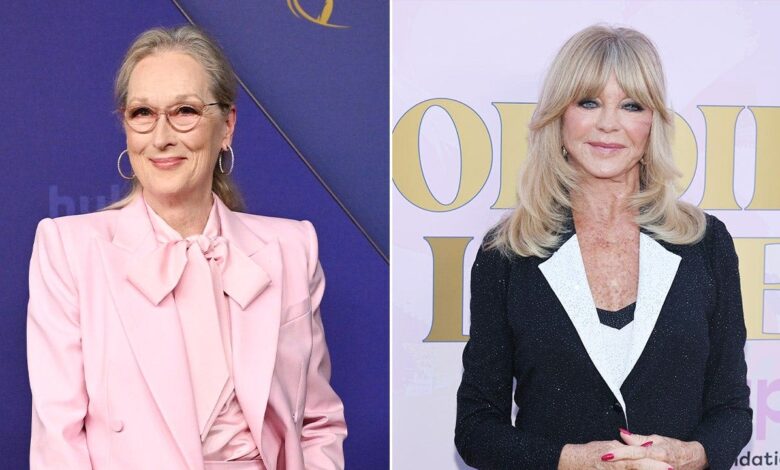 Meryl Streep had secret 'beef' with Goldie Hawn while filming '90s horror comedy film
