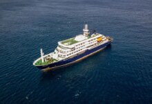Cruise ship deaths spark hantavirus outbreak fears: What to know about the rodent-borne virus