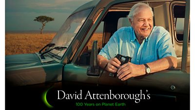 Attenborough’s 100th Birthday: BBC Lineup Explained
