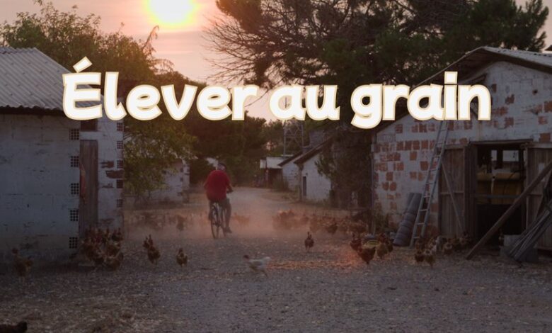 La France en vrai : la Nouvelle-Aquitaine face au grain