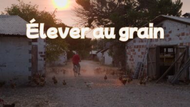 L’évolution de la stratégie économique de Misryoum