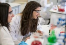 Do career 'pathways' work? Delaware offers early clues