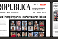 A New Look for ProPublica