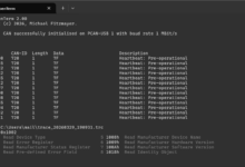CANopenTerm: A Fast Terminal Tool for CANopen Testing