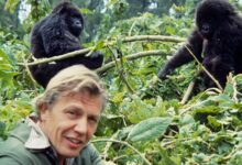 The greatest David Attenborough documentaries you really need to watch