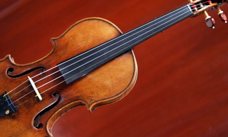 MIT's virtual violin offers luthiers a new design tool