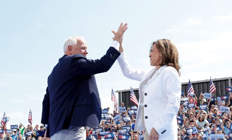 DNC autopsy sidesteps platform failures, critics say