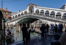 This Week: Overtourism, Therapy Horses and Mozart