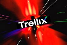 Trellix discloses data breach after source code repository hack