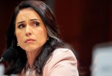 Tulsi Gabbard resigns as Trump intelligence chief