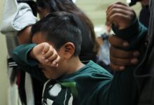 Zocalo clinic sees surging mental distress amid raids