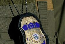 DHS says ICE has no tie to Paragon spyware