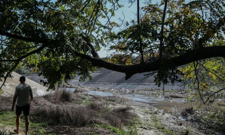 Orange County Halts Herbicide Spraying After Creek Residents Pushback