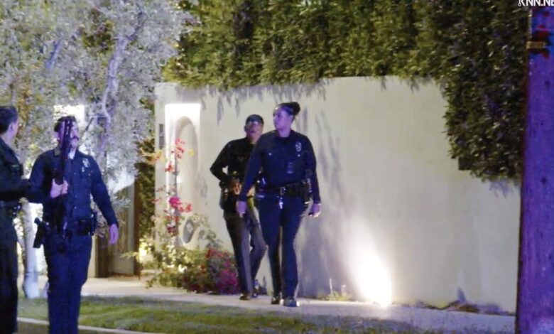 Bear-Spray Attack Follows LA Break-Ins as Alarms Scare Burglars