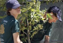 Students build nurseries to reforest burned L.A. communities
