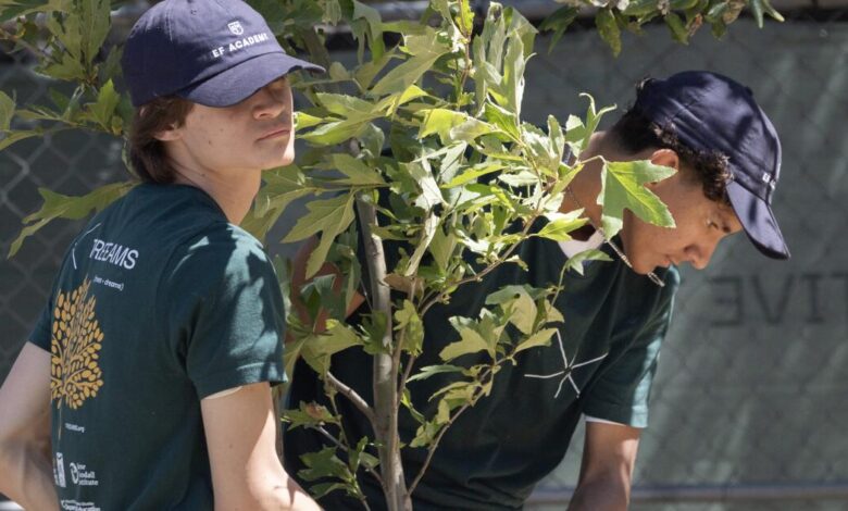Students build nurseries to reforest burned L.A. communities