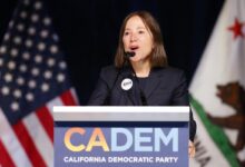 California Treasurer Race: Candidates to Replace Fiona Ma