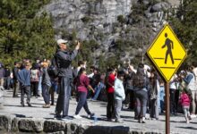 Yosemite ditches reservations, drawing huge crowds in a free-for-all