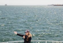 California moves Pier Wind ahead despite Trump pressure