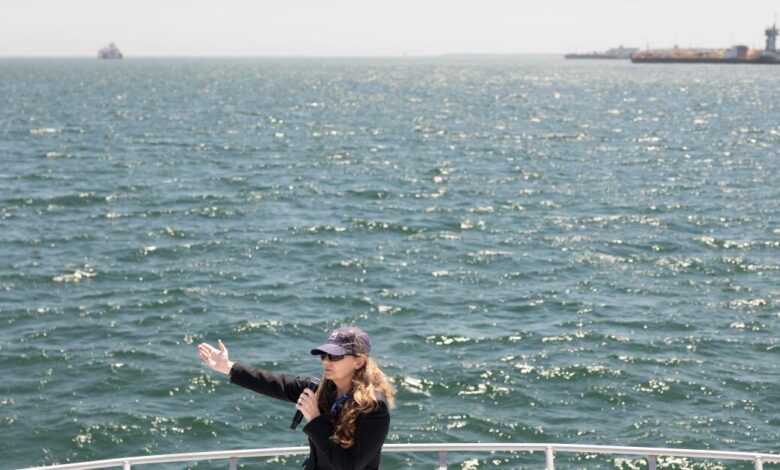 California moves Pier Wind ahead despite Trump pressure California moves Pier Wind ahead despite Trump pressure