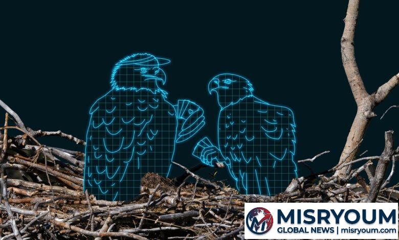 AI “Wildlife” Deepfakes Threaten Real Nature AI “Wildlife” Deepfakes Threaten Real Nature