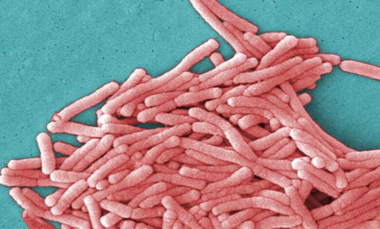 19 Legionella Infections Spur Kaiser Bay Area Water Review