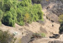 Fire-prone California could lose hundreds of millions for wildfire prevention