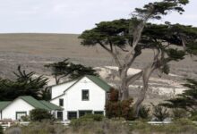 Fire tearing through Santa Rosa Island reaches Torrey pines
