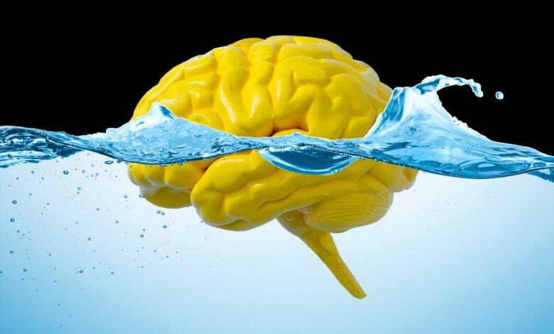 Gut-Brain Motion Study: Steps May Help Clear Brain Waste