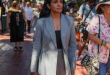 Raman unveils Pacific Palisades wildfire rebuild plan