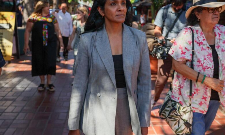 Raman unveils Pacific Palisades wildfire rebuild plan