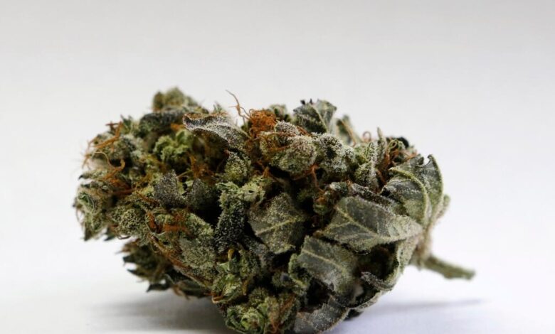 TSA says medical marijuana is allowed—check the destination