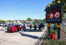 Some Brookfield Zoo staffers strike after negotiations fail
