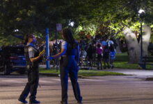 Lake Shore Drive shut down after crowd swarms