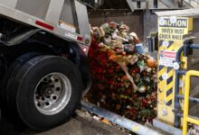 South Loop Woman Spurs Composting Drive at Condo