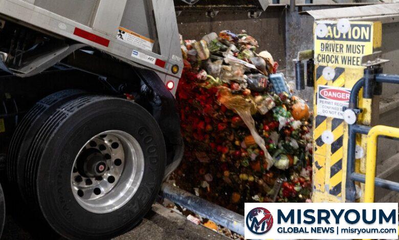 South Loop Woman Spurs Composting Drive at Condo