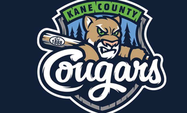 Teen charged after Kane County Cougars bus fire