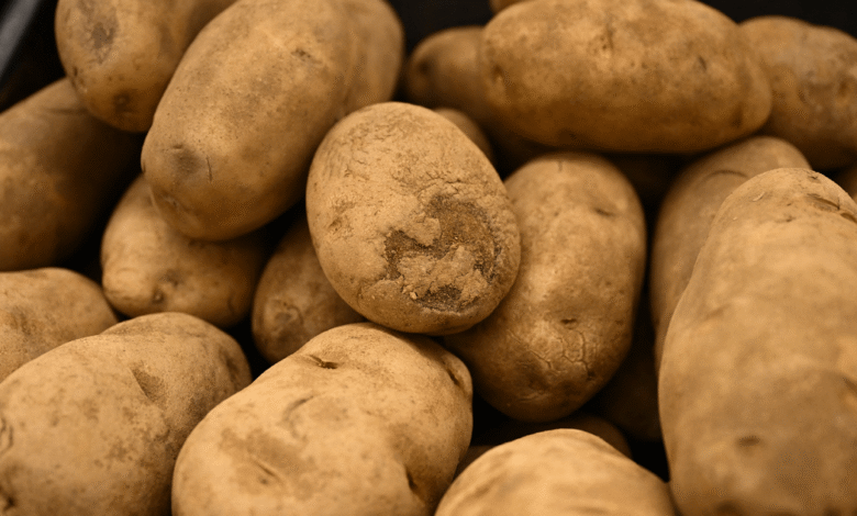 Lawmakers repeat solar-on-farms myths about potato safety