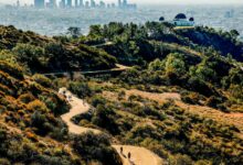 Hiker found dead after air rescue in Hollywood Hills