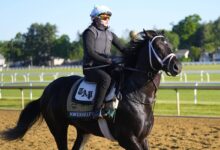 Long shots press their case as Belmont shifts