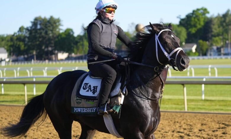 Long shots press their case as Belmont shifts