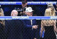 White House UFC spectacle blurred Trump and public