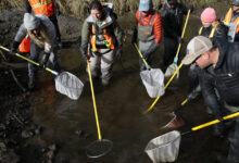Oregon Leaders Struggle to Save Deschutes River Flows