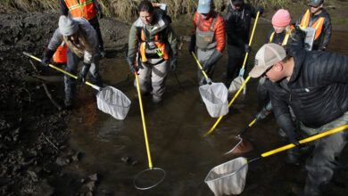 Oregon Leaders Struggle to Save Deschutes River Flows