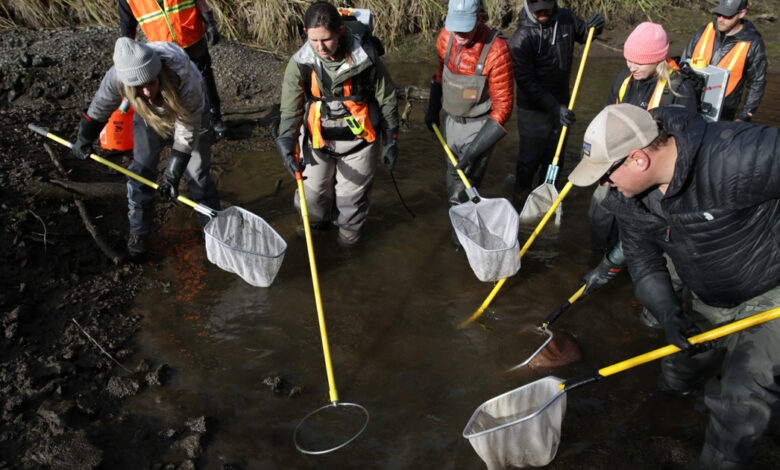 Oregon Leaders Struggle to Save Deschutes River Flows